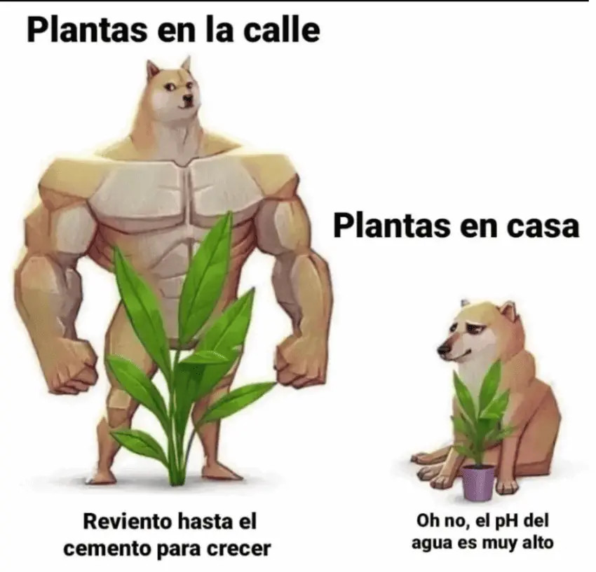 Plants breaking cement vs pH water meme