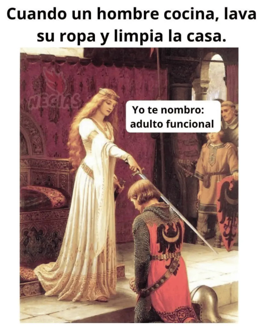 Functional adult meme about men doing housework