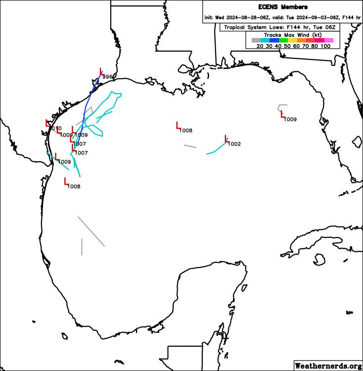 European ensemble model projection showing a minority of members indicating surface low development off the Texas coast during Labor Day weekend.