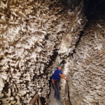 Image shows a person in the narrow Cave of Swords with swordlike crystals covering the walls on both sides.