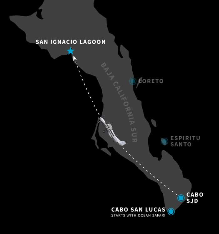 Baja California - San Ignacio Lagoon El Vizcaino
