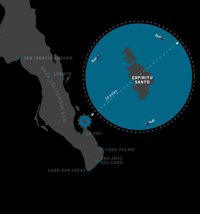 Espititu Santo Island - La Paz