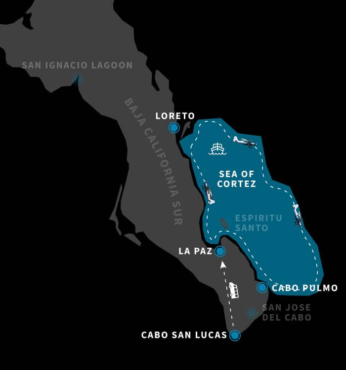 Sea of Cortez, Mobulas &amp; Orcas