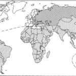 First, Second, and Third Worlds and the North–South division map illustrating Cold War era global classifications and economic disparities.