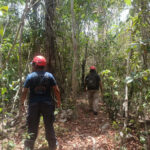 Search brigade in Cozumel, Mexico, looking for Brad Solomon