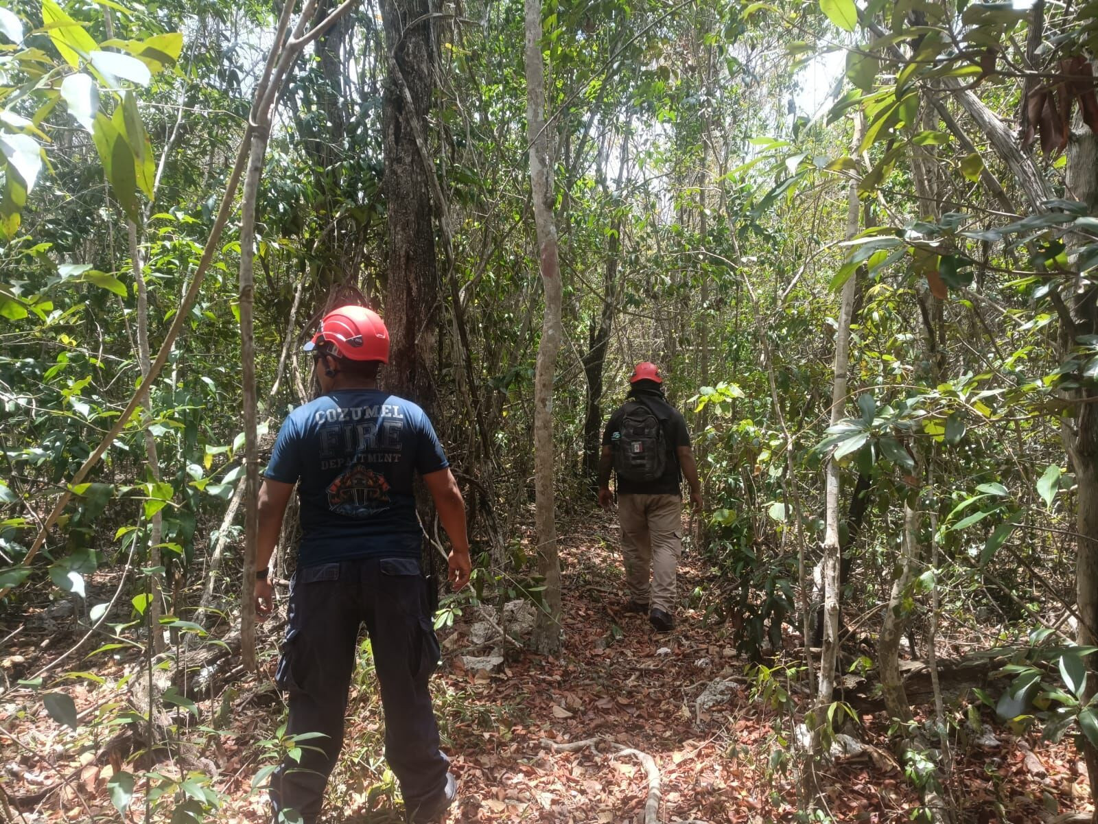 Search brigade in Cozumel, Mexico, looking for Brad Solomon
