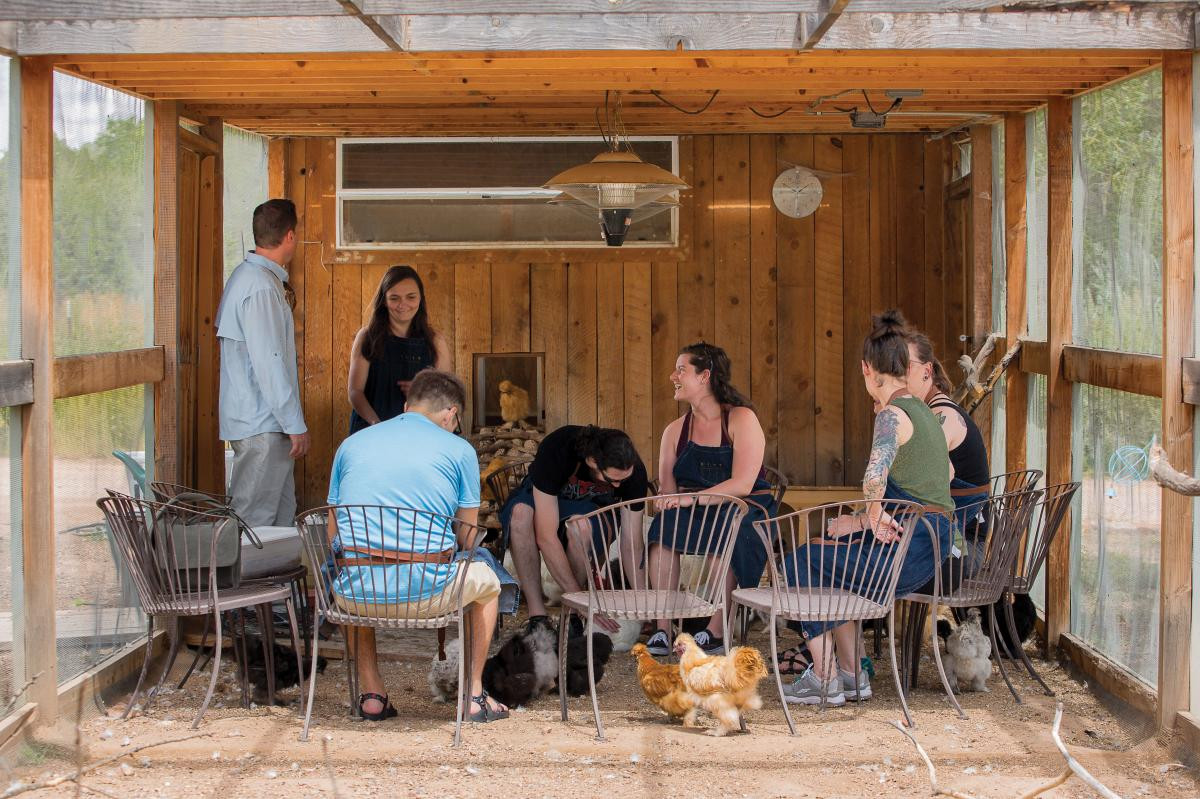 A group of resort guests are sitting in a chicken coop, holding fluffy Silkie chickens and feeding them dried worms, as part of the "Chicken Chats" class at the New Mexico resort.