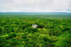 Getty Images Majestic Mayan Pyramid 1 at Calakmul rises above the breathtaking Jungle Canopy for as far as the eye can see on a beautiful day in the Calakmul Biosphere Reserve in Campeche Mexico