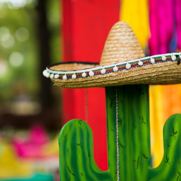 Cactus and succulent decorations for a Mexican fiesta, adding a natural and desert-themed element.