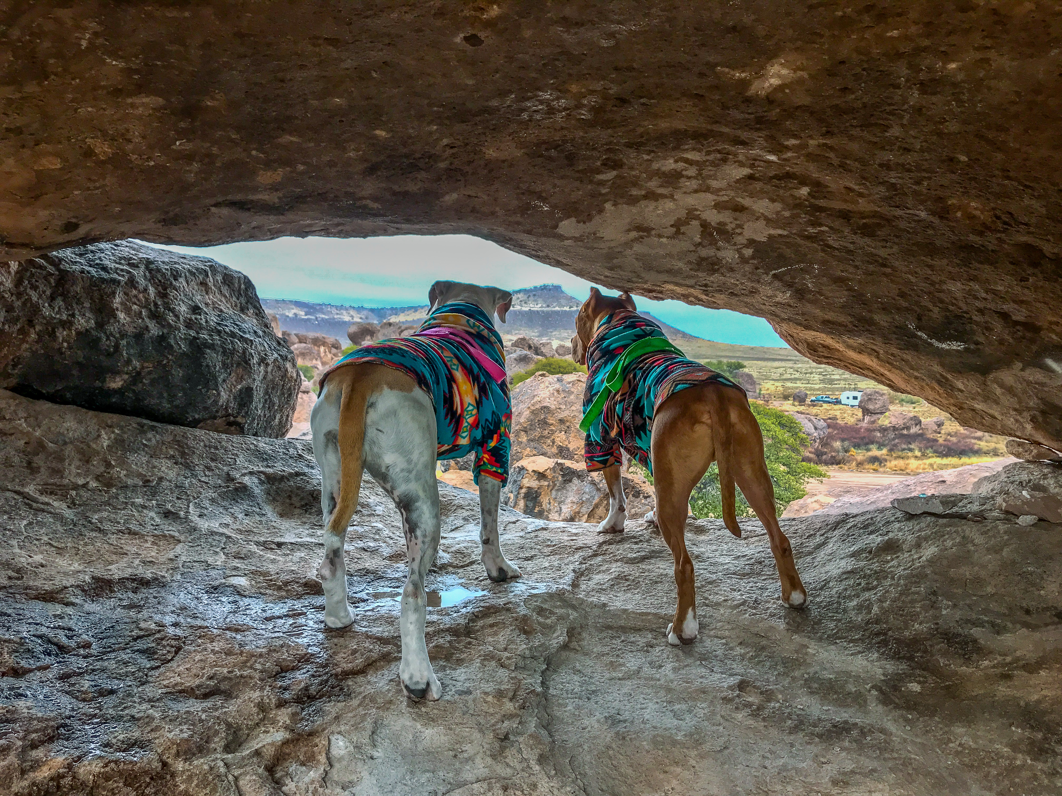 Exploring cave-like rock formations with dogs at City of Rocks State Park campground, New Mexico