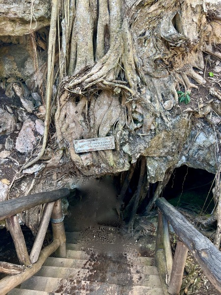 cenotes