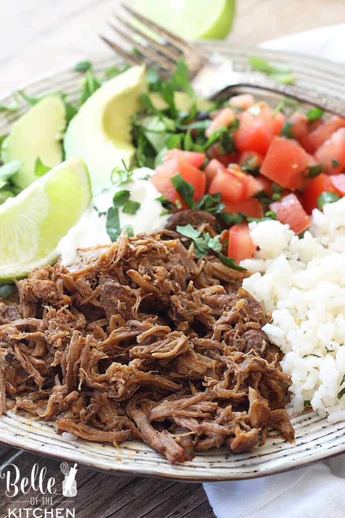 A vibrant plate of Chipotle Pork Carnitas Burrito Bowl, showcasing a hearty and flavorful meal option.