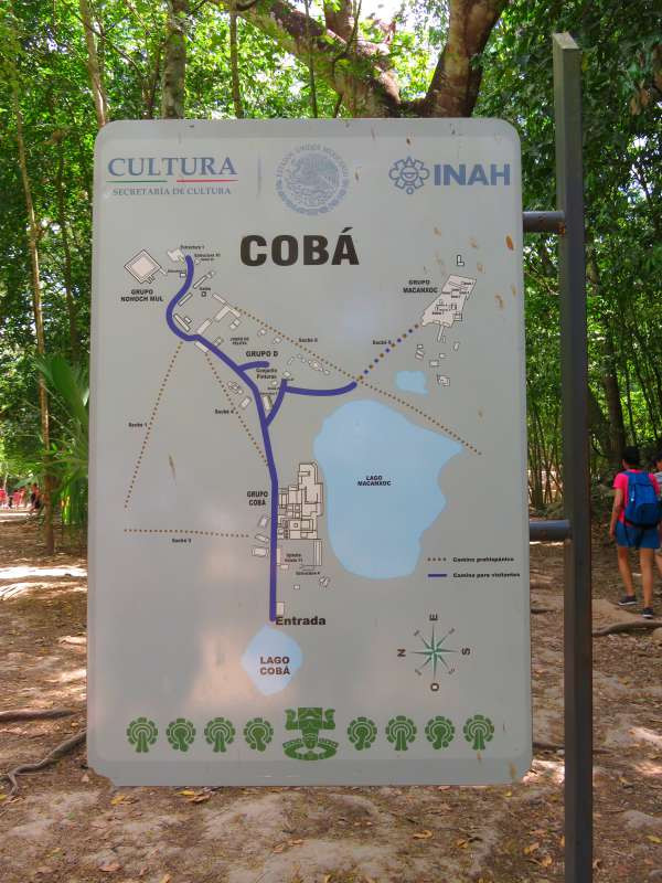 Map of Coba archaeological site, Mexico, illustrating sacbeob as dotted lines and tourist paths as purple lines, highlighting Mayan road network