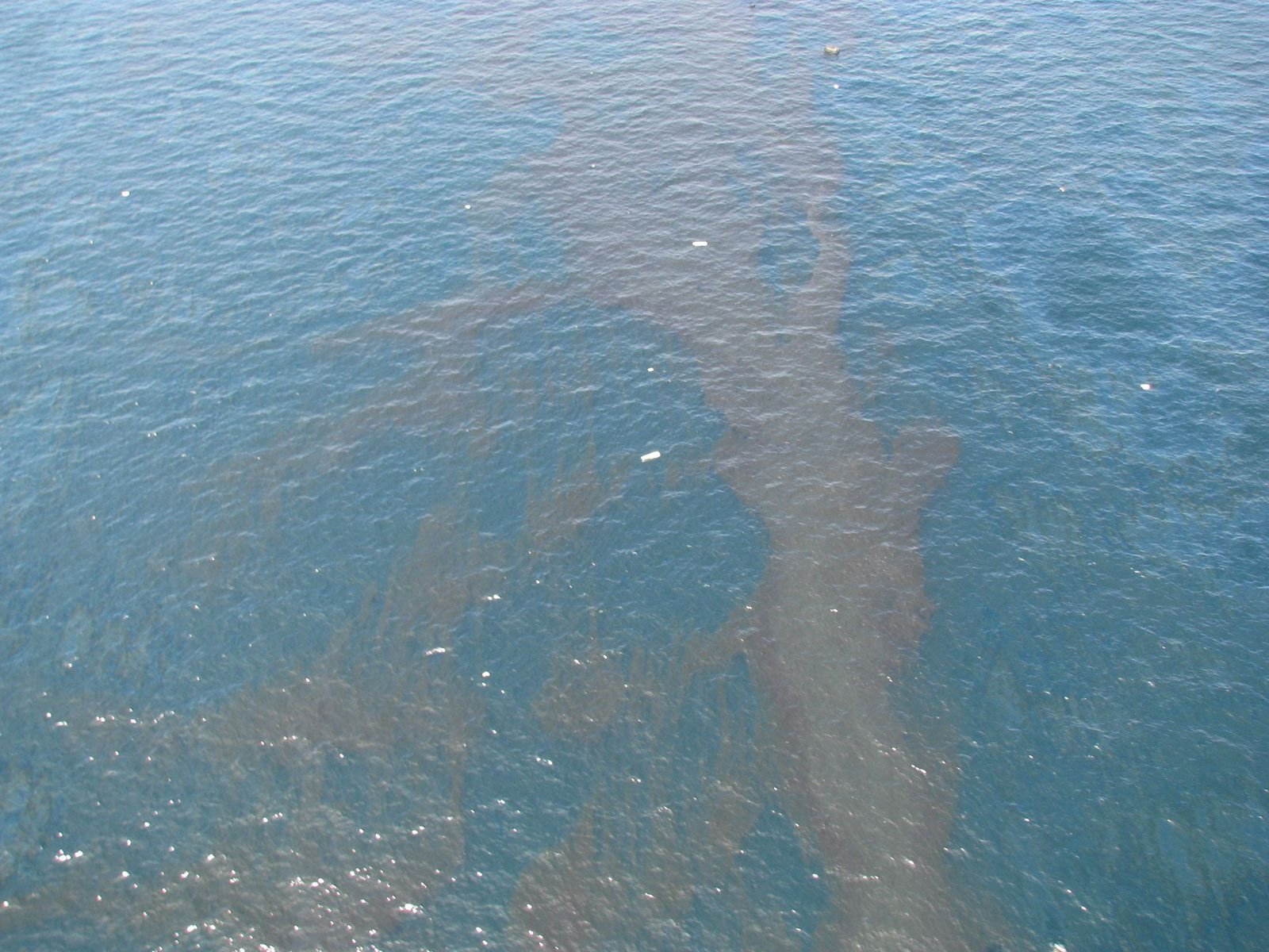 Debris and crude oil slicks on the Gulf of Mexico surface after the Deepwater Horizon rig sank.
