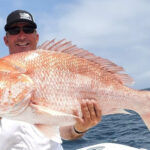 Red Snapper Caught In The Gulf of Mexico