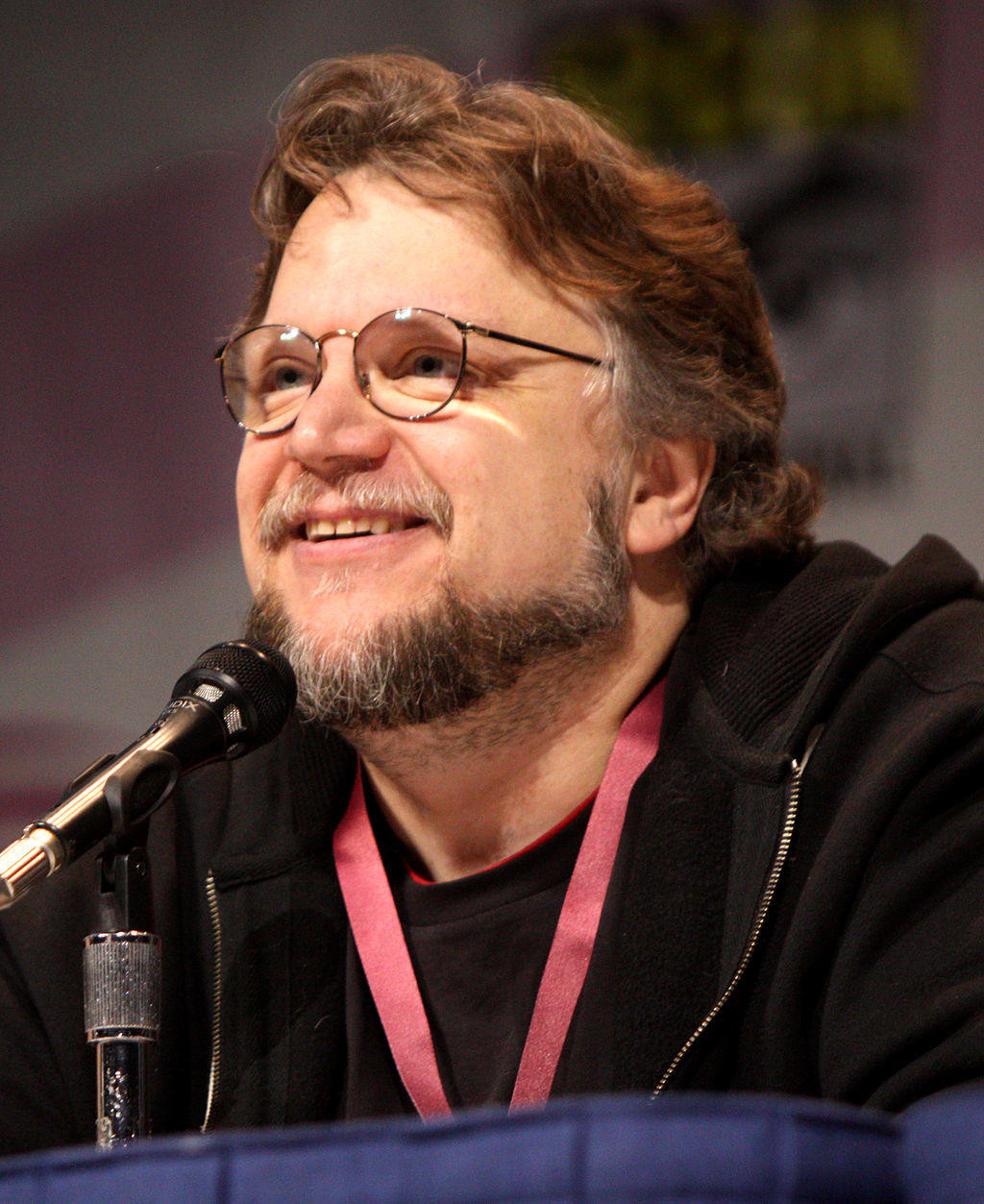 Guillermo del Toro at the 2013 WonderCon in Anaheim, California on March 30, 2013. Source: Wikipedia Commons