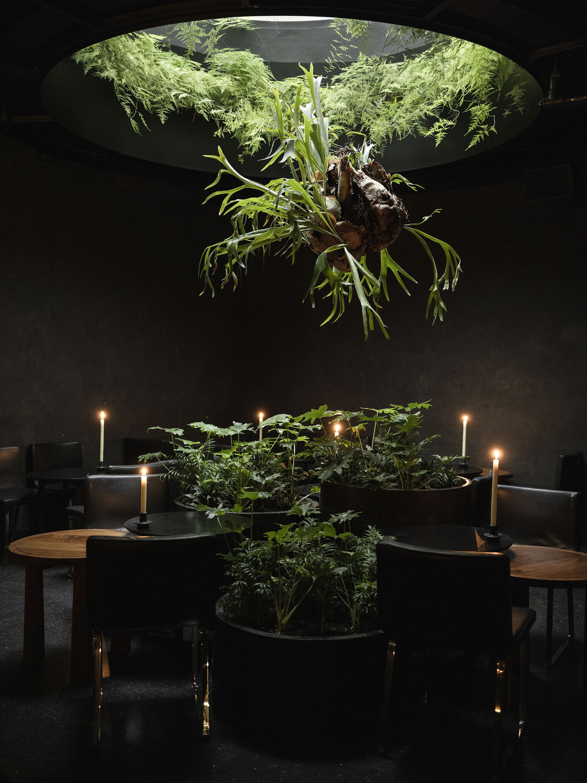 Interior of Ticuchi bar and restaurant in Mexico City, featuring lush greenery, warm lighting, and stylish tables and chairs