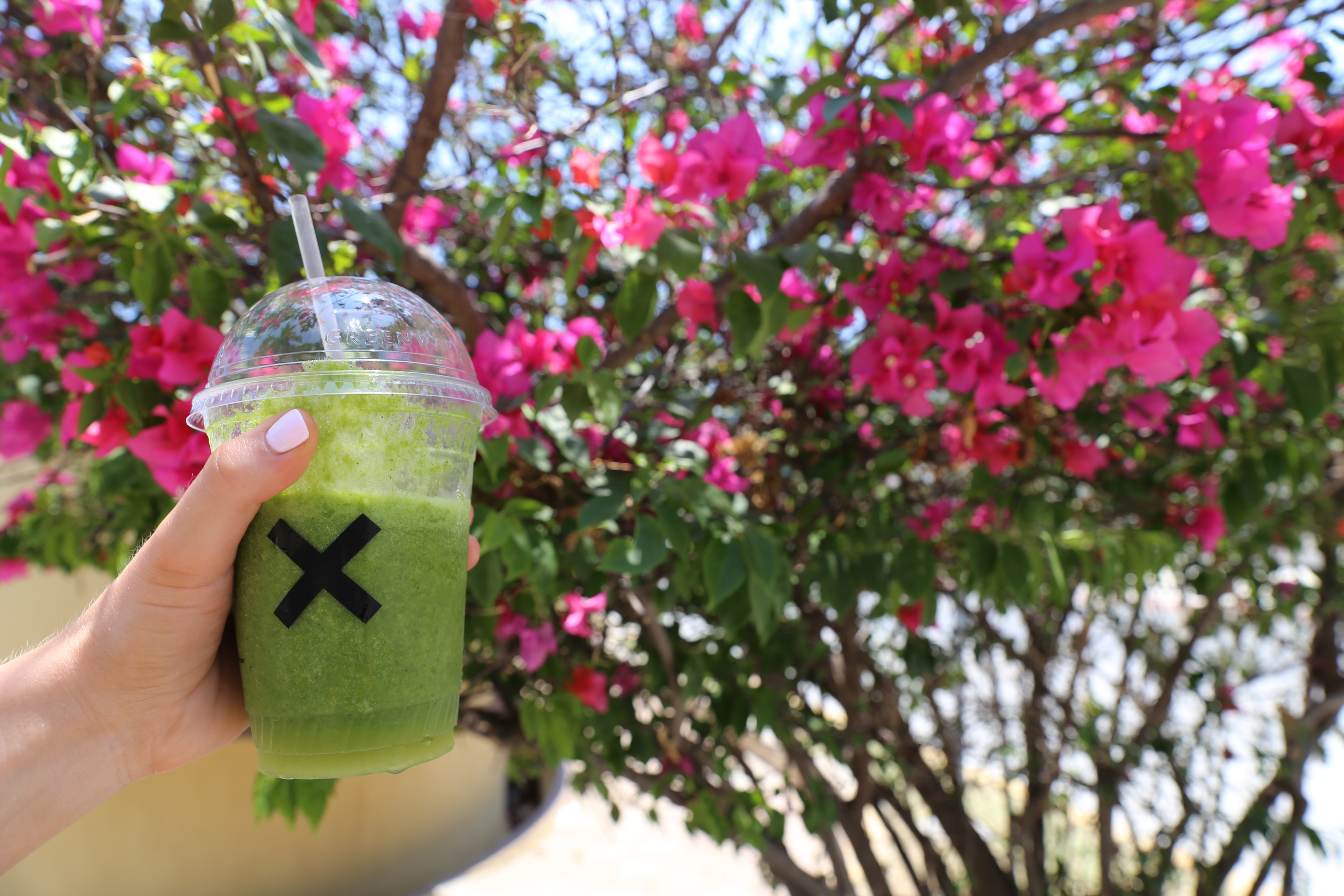 Close up of a refreshing green juice at Loot cafe, Zihuatanejo, Mexico