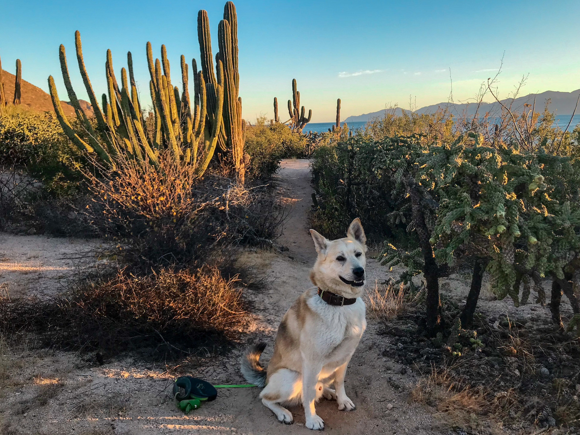 Hikers and a dog enjoying a scenic trail in La Ventana, Mexico