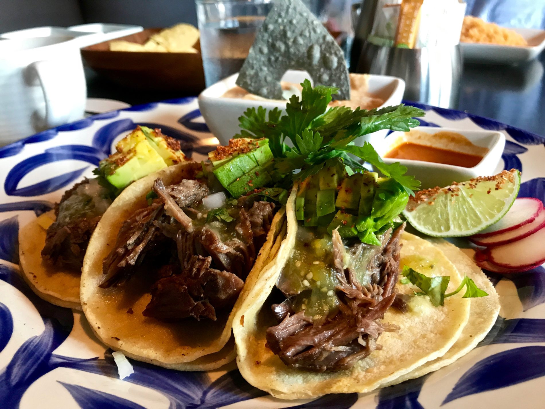 Short Rib Tacos at South of Nick's Mexican Kitchen