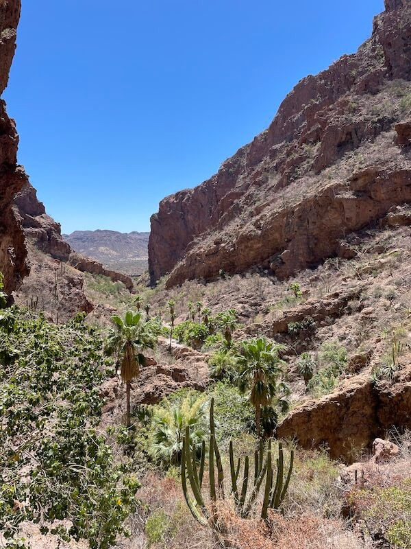 Entrance to Nacapule Canyon trail in San Carlos, Mexico
