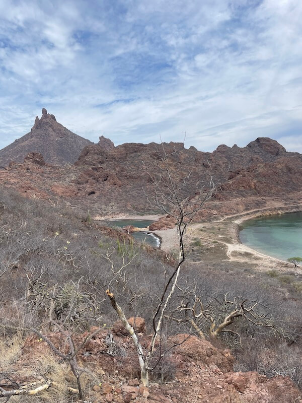 Coastal trail at Playa de Acuario with ocean views in San Carlos, Mexico