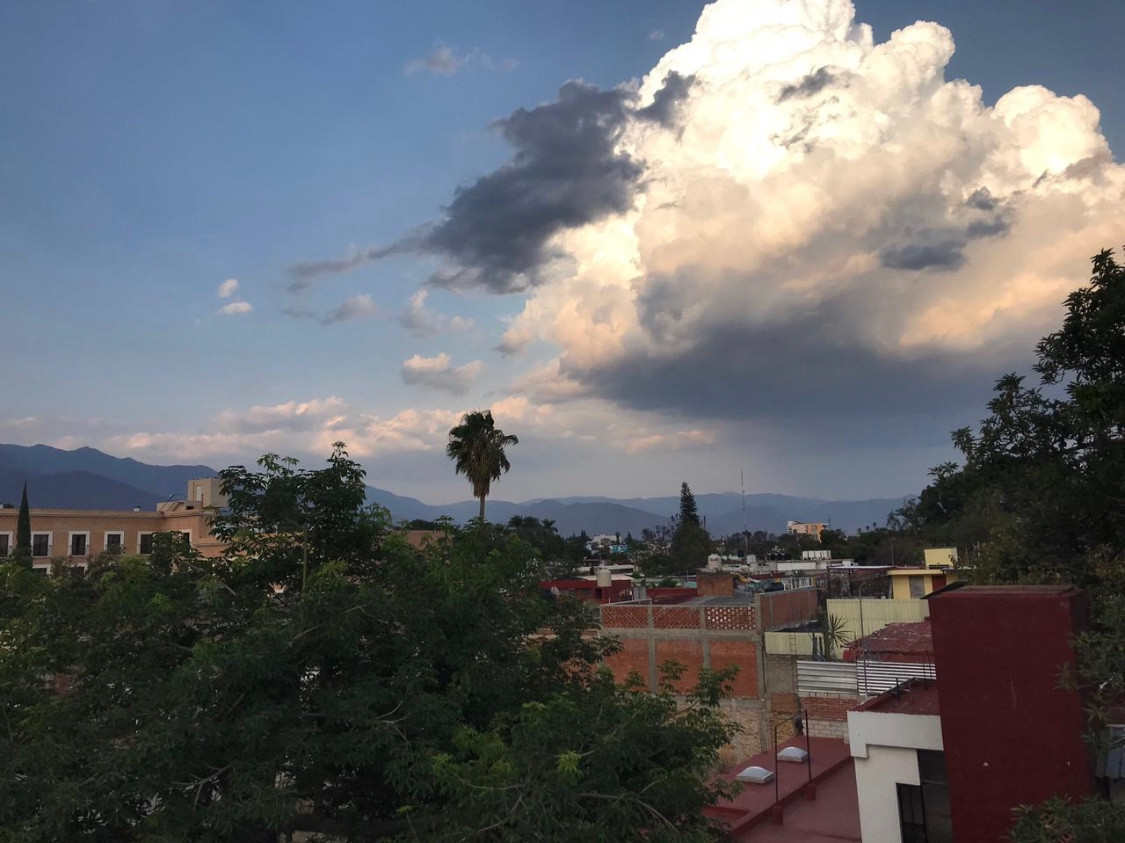 Cityscape of Oaxaca with lush greenery and blue sky