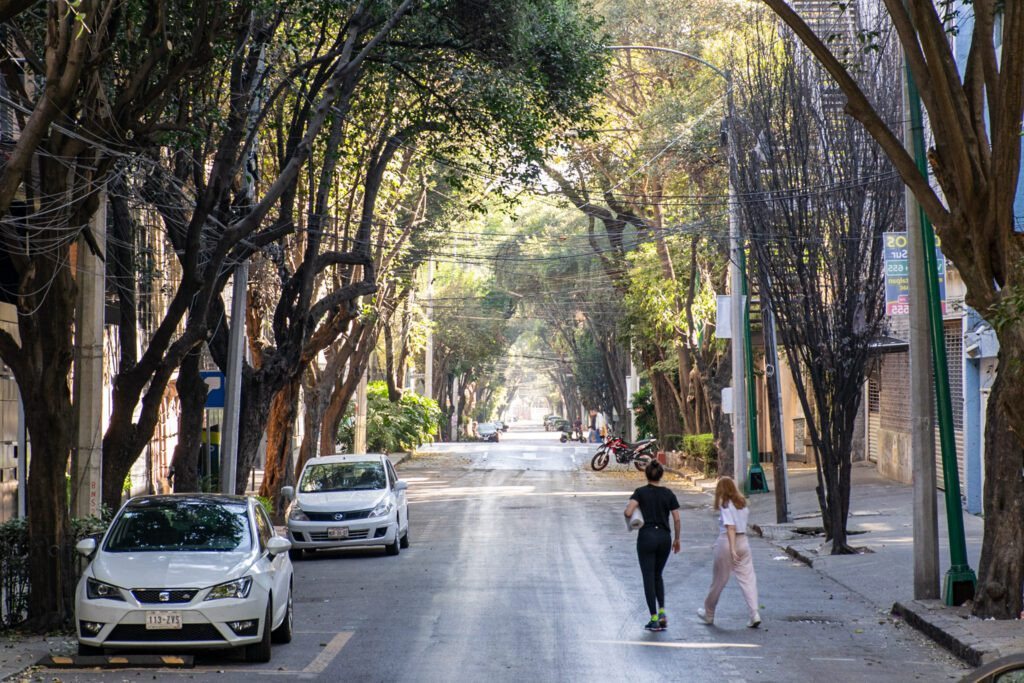 Tree-lined streets of Roma Norte, showcasing leafy canopies and charming urban scenery.