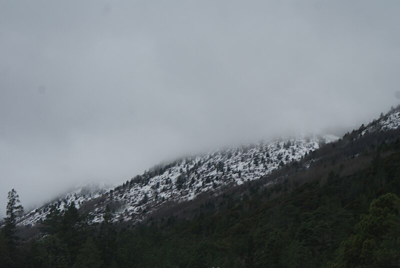 Los Oyameles, Arteaga Coahuila under snow