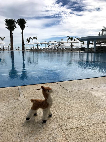 Luxury Resort Pool Day