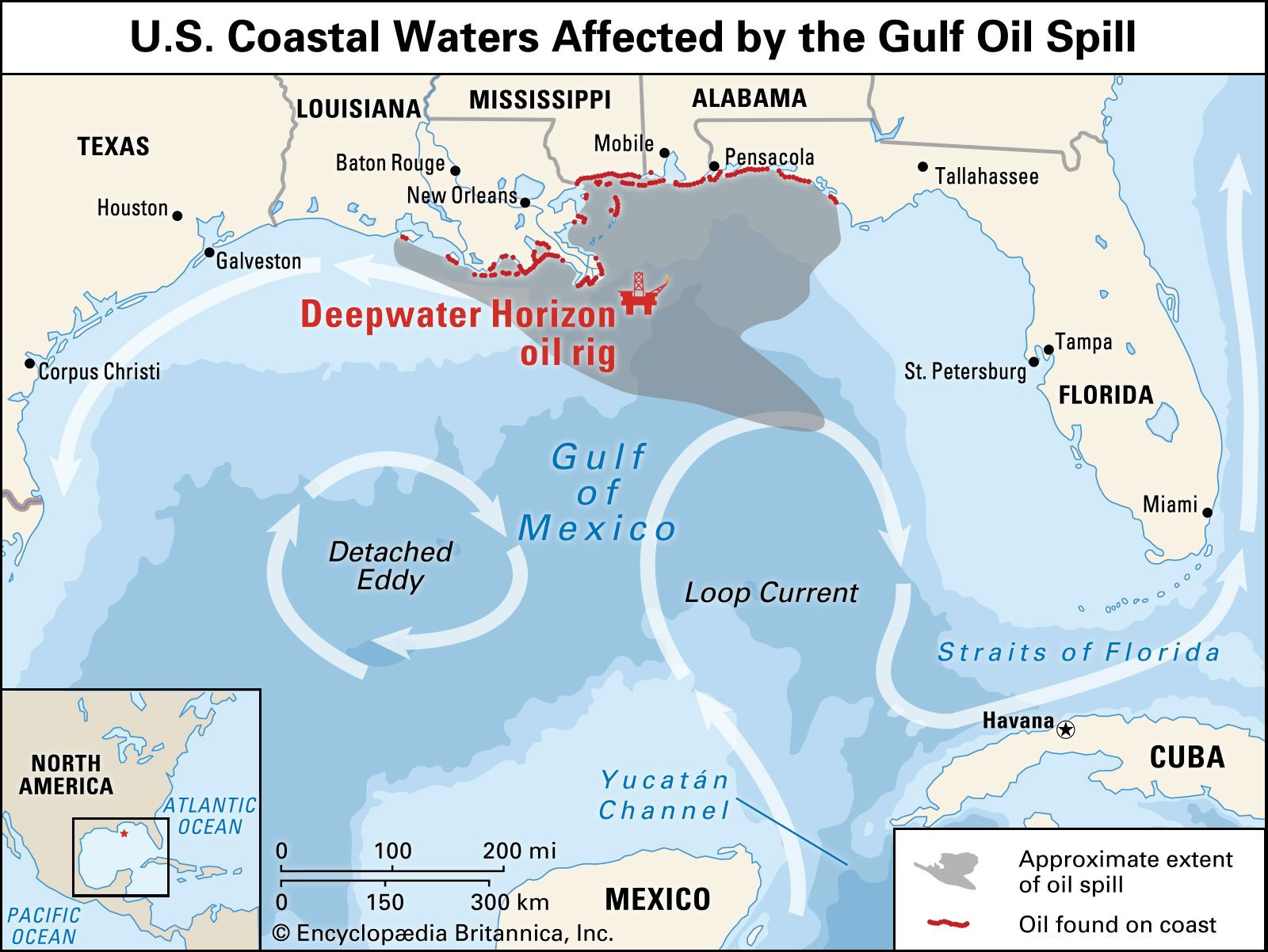 Map showing the spread of the Deepwater Horizon oil spill in the Gulf of Mexico, impacting the Gulf Coast.