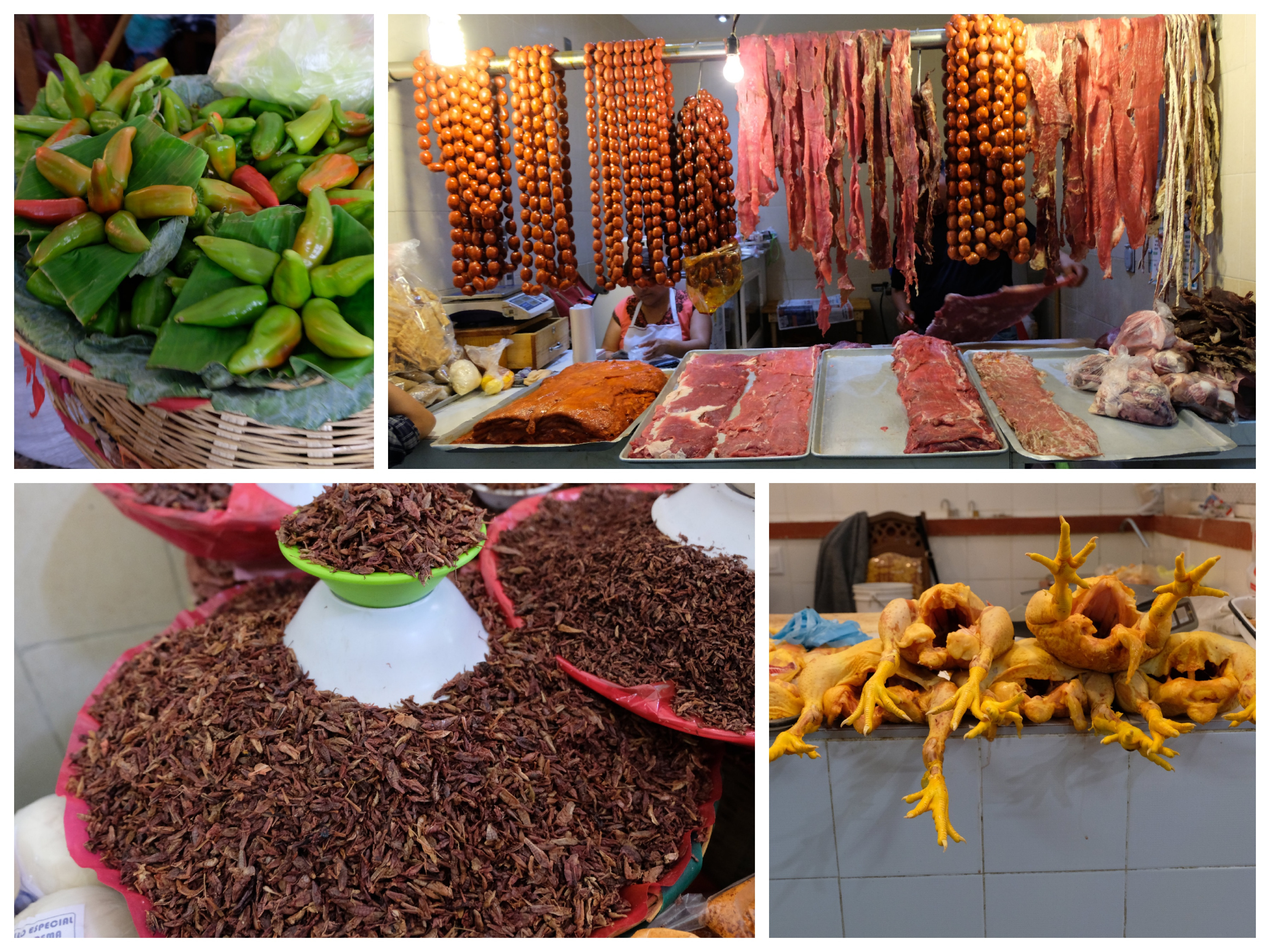 Oaxaca is famous for its foods, and there was some interesting stuff for sale in the markets! 