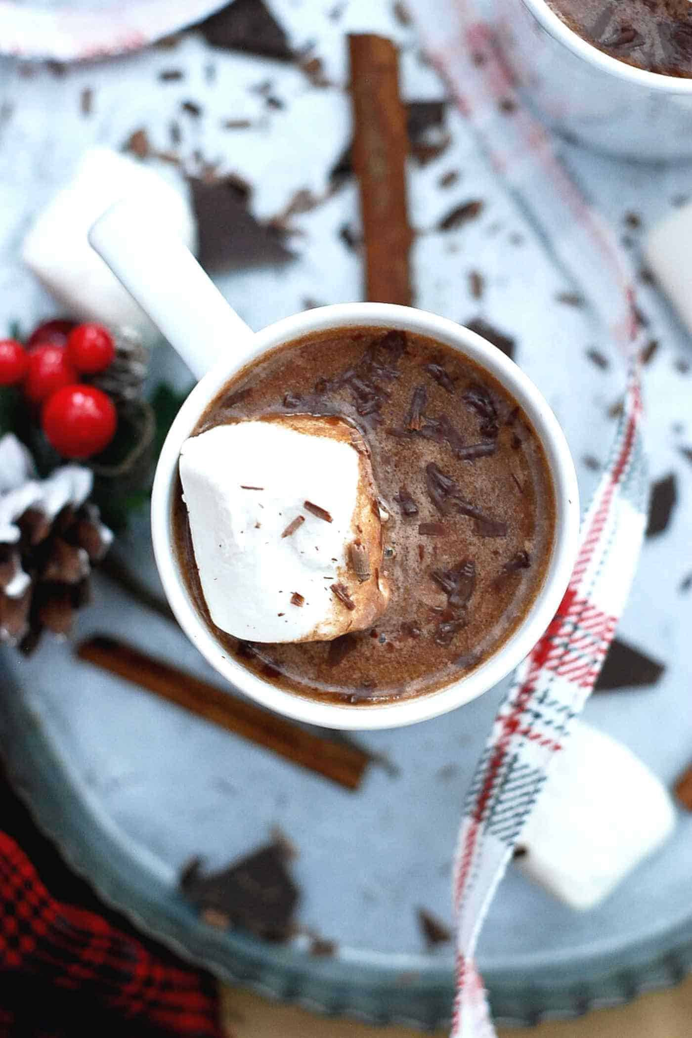 mug of hot chocolate with marshmallow.