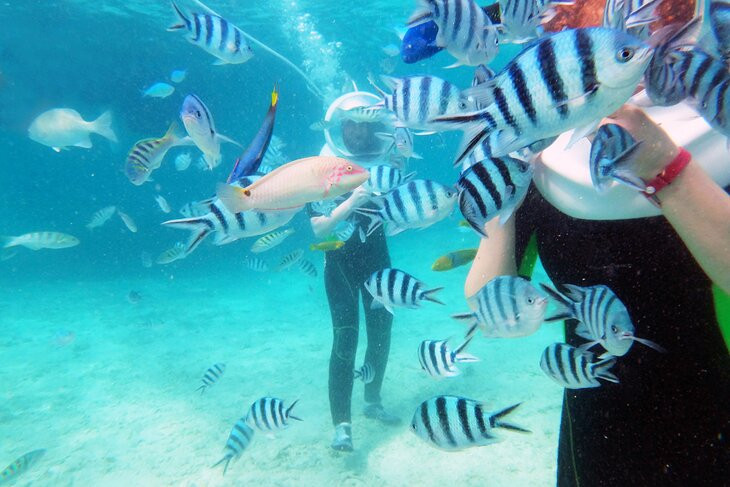 Tourists wearing Sea Trek helmets walking underwater in Cozumel