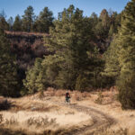 Discover the Wild Beauty of Lincoln National Forest, New Mexico