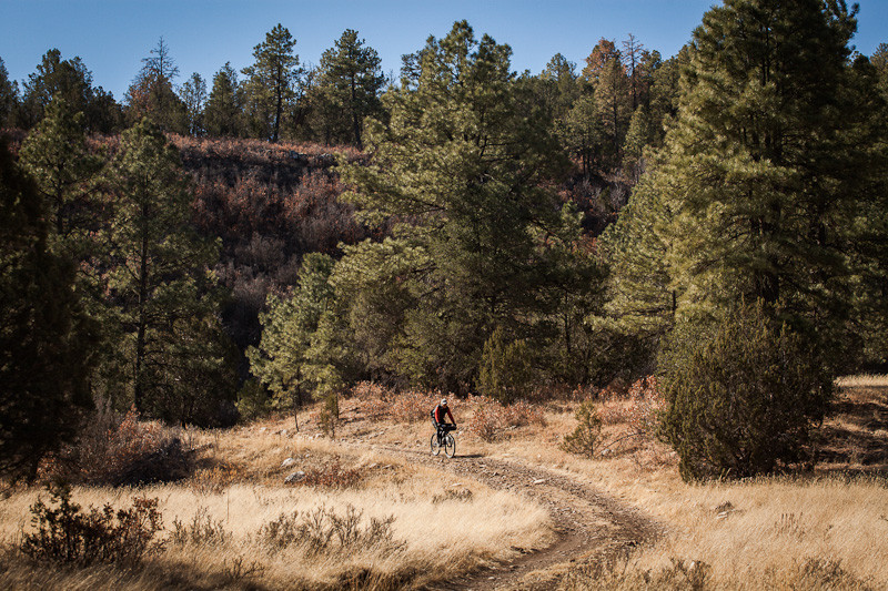 Discover the Wild Beauty of Lincoln National Forest, New Mexico