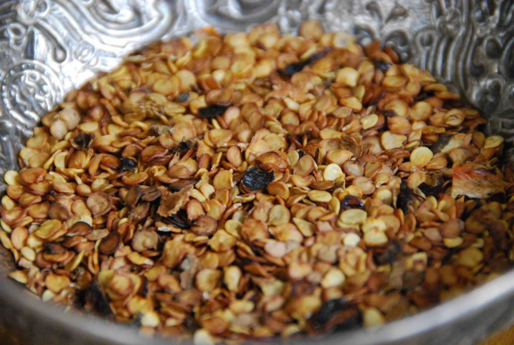 Close-up of chile seeds and various spices used in Mole Poblano, highlighting the rich colors and textures of the ingredients.