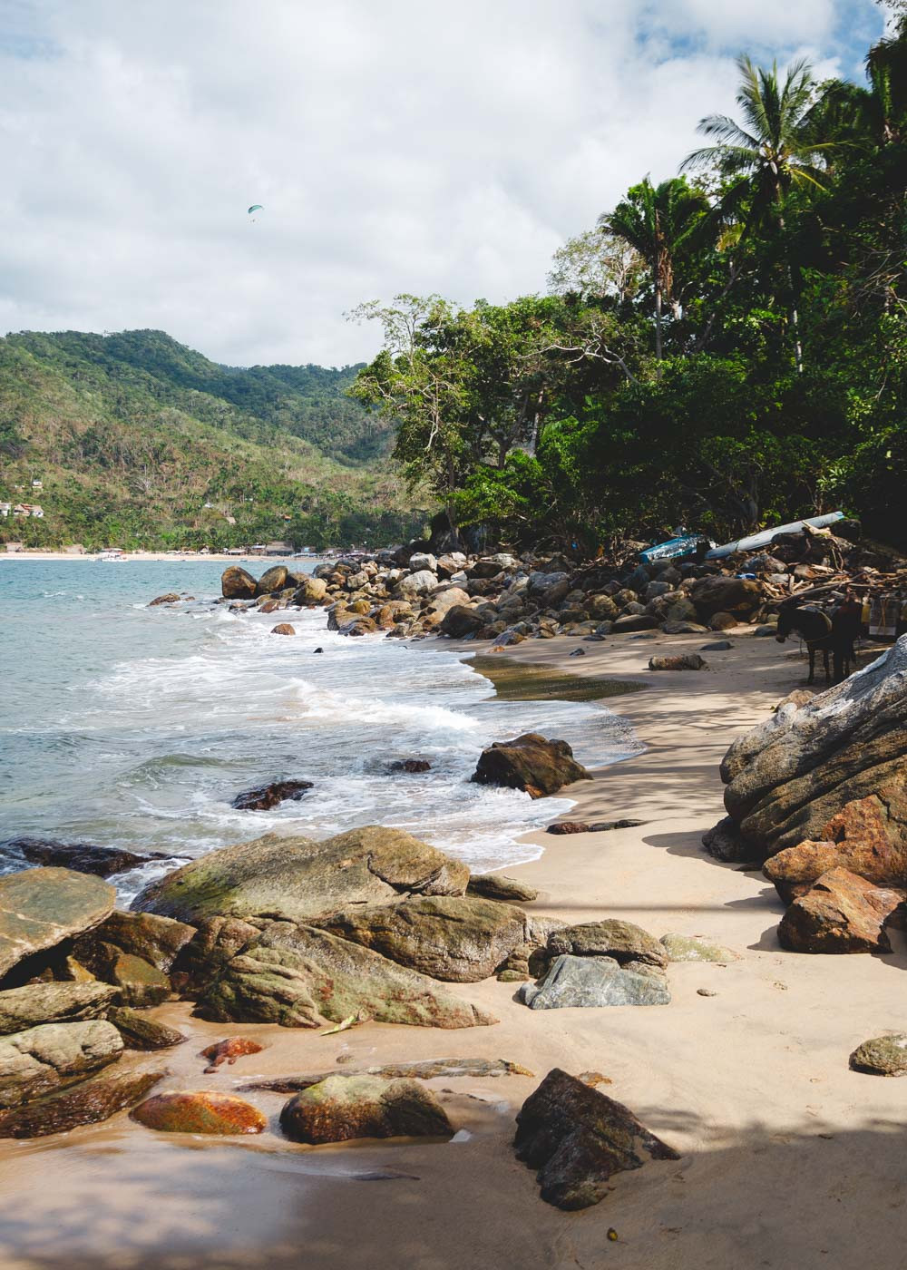 An idyllic view of Playa Isabel featuring a donkey on the beach, lush forest surroundings, and a paraglider soaring in the sky.