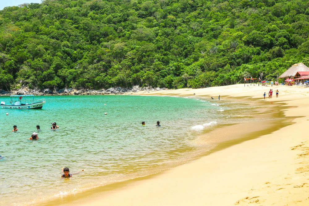 Playa maguey oaxaca beach guide