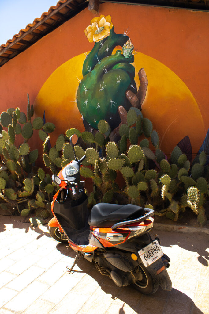 Scooter rental in Zipolite, Mexico