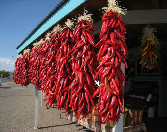 Ristras of fresh New Mexico red chile @mjskitchen mjskitchen.com