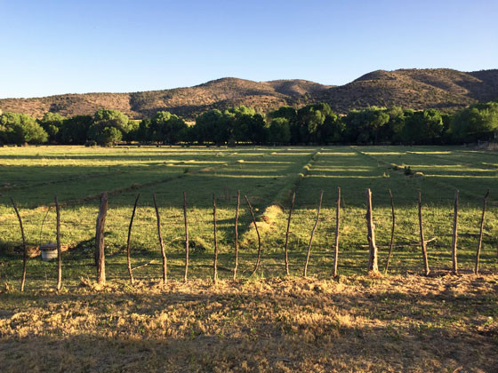 Pastoral view from Orchard House cottage in Hondo Valley, San Patricio, New Mexico