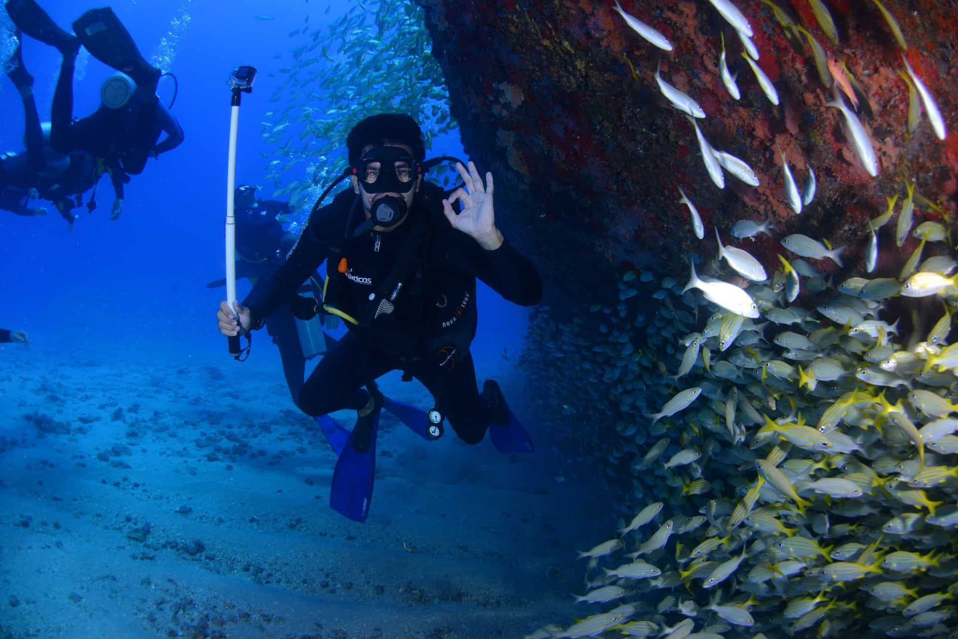 scuba diver under water with fish