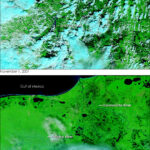 Extensive flooding in southeastern Mexico, particularly Tabasco state, is visible in this NASA satellite image from November 1, 2007.  The image, captured by MODIS on the Terra satellite, shows the aftermath of days of torrential rain that submerged much of the region.