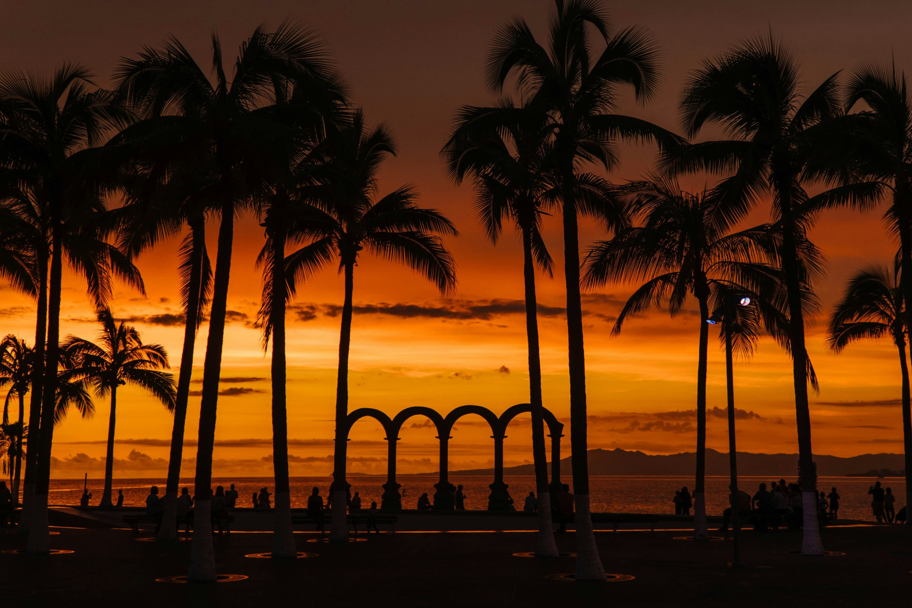 Silhouettes of palm trees and the Malecon