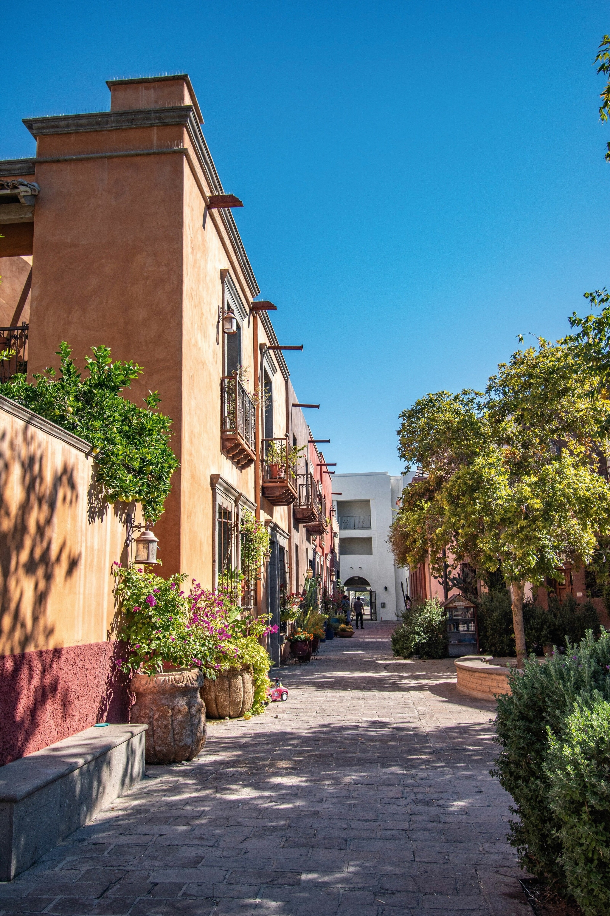 Charming street view of Tucson’s Mercado District, highlighting colorful houses and local architecture.