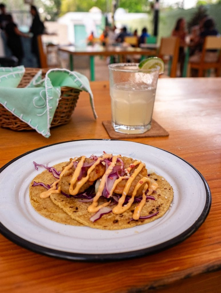 Ceviche tostada at Sabor de Mar, Tulum