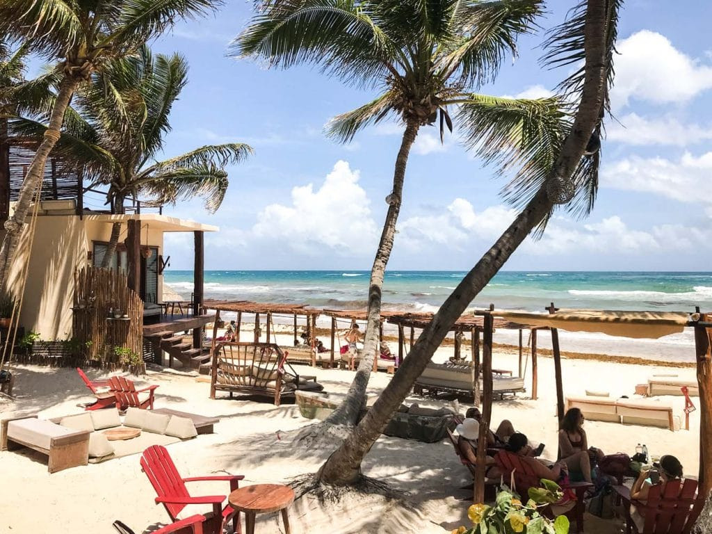 Palm trees at Zebra beach club, Tulum