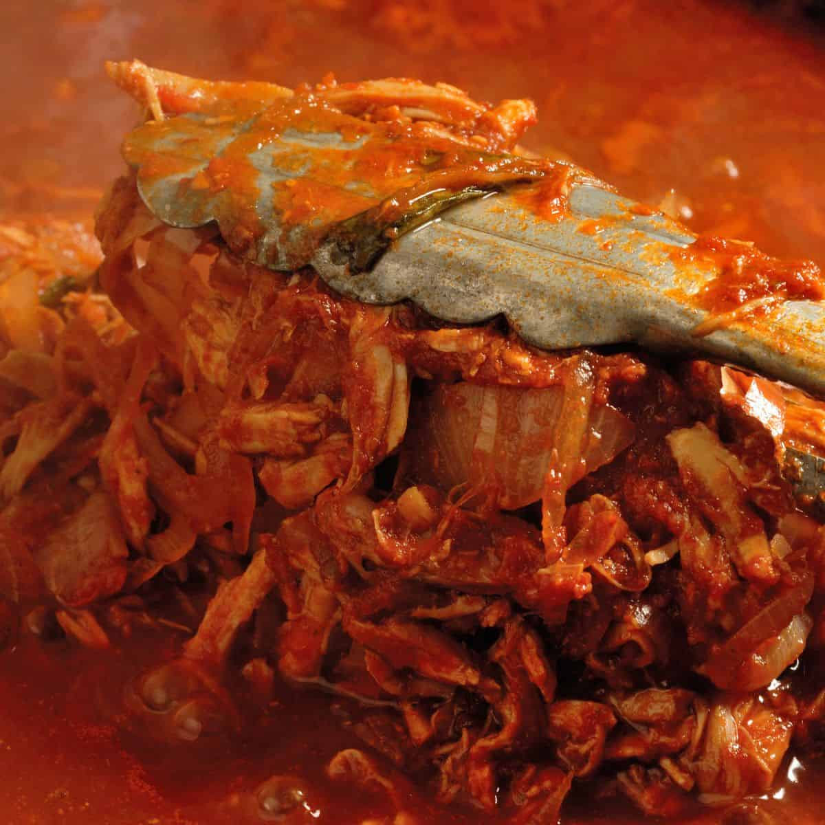 Tinga, a vibrant and flavorful shredded meat dish.