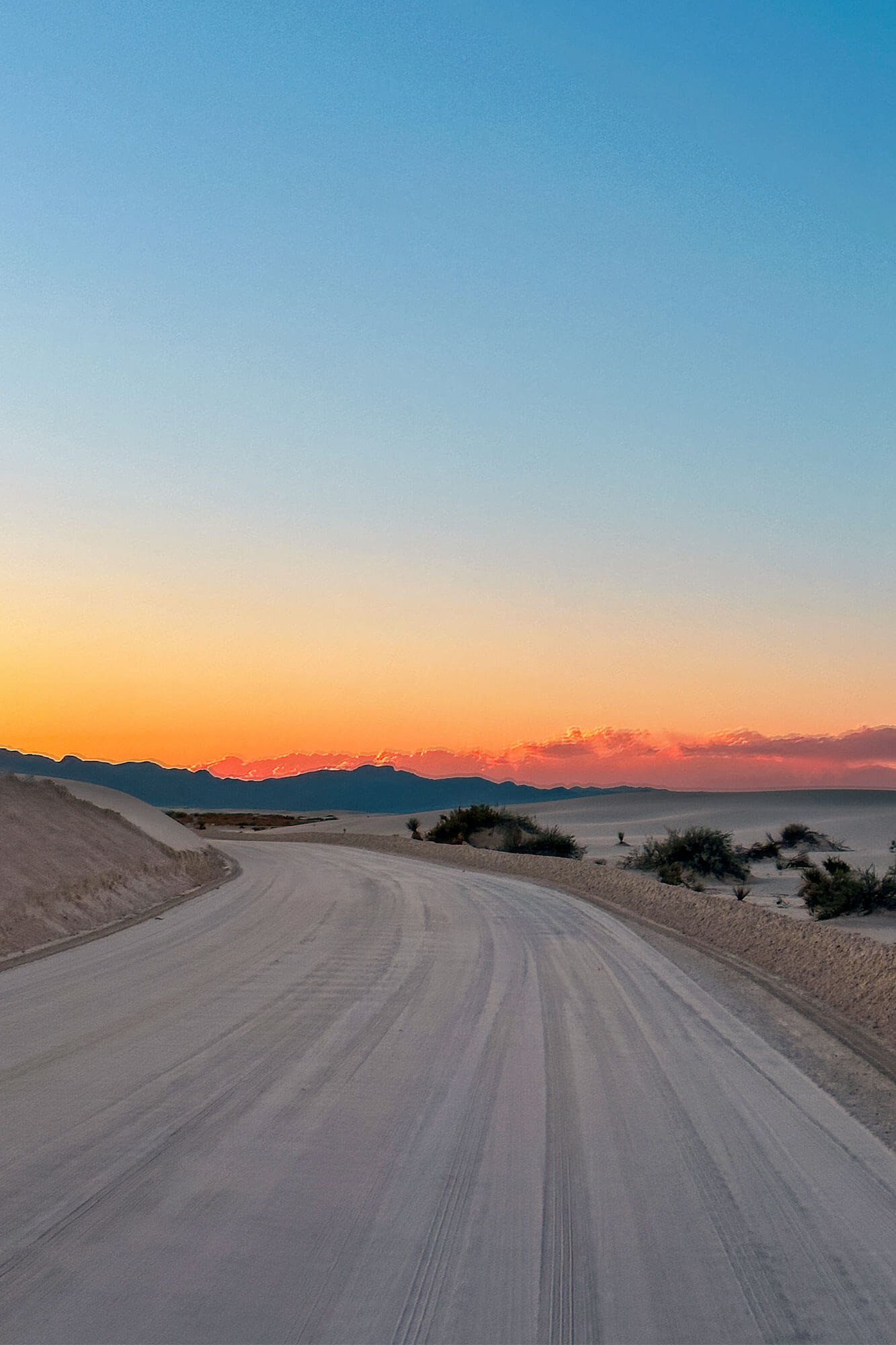 White sand dunes and plants at White Sands National Park